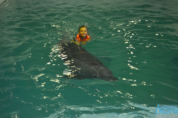 плаванье с дельфинами в Сочи