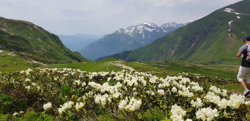 Гора коготь бзерпинский карниз